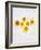 Marigold, Calendula Officinalis, Blossoms, Petals, Orange, Still Life-Axel Killian-Framed Photographic Print