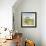 Marigold Cottage-Ken Hurd-Framed Giclee Print displayed on a wall