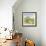 Marigold Cottage-Ken Hurd-Framed Giclee Print displayed on a wall