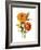 Marigold Flower-Jasmine Woods-Framed Art Print
