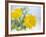 Marigold Flowers-Lawrence Lawry-Framed Photographic Print