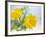 Marigold Flowers-Lawrence Lawry-Framed Photographic Print