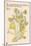 Marigold Personified-Walter Crane-Mounted Art Print