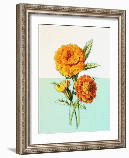 Marigold Yellow-null-Framed Art Print