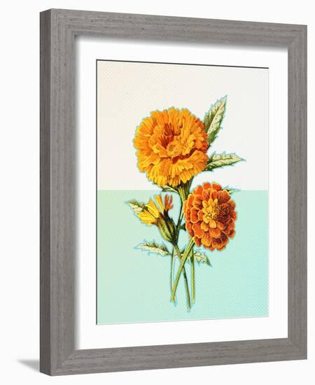 Marigold Yellow-null-Framed Art Print