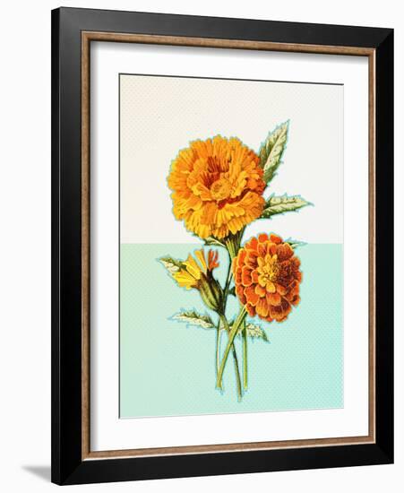 Marigold Yellow-null-Framed Art Print