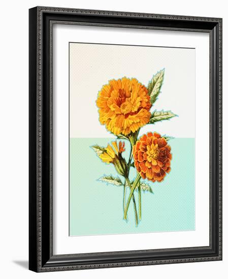 Marigold Yellow-null-Framed Art Print