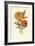 Marigold-Frederick Edward Hulme-Framed Giclee Print