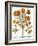 Marigolds, 1613-Besler Basilius-Framed Giclee Print