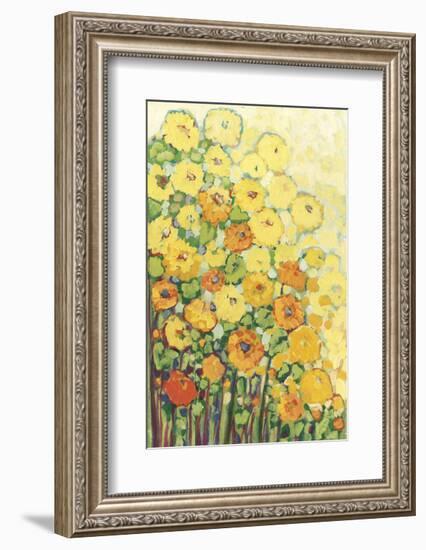 Marigolds for Carson-Jennifer Lommers-Framed Art Print