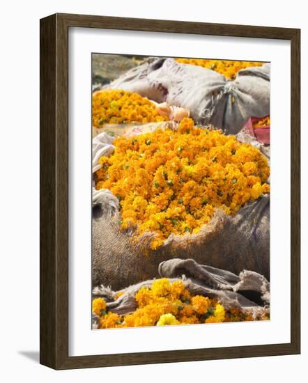 Marigolds Tied Up in Sacking Ready for Sale, Flower Market, Bari Chaupar, Jaipur, Rajasthan-Annie Owen-Framed Photographic Print