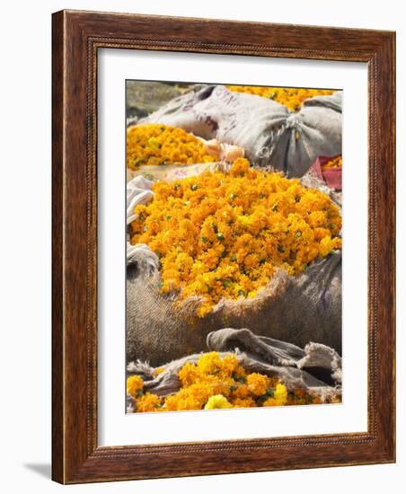 Marigolds Tied Up in Sacking Ready for Sale, Flower Market, Bari Chaupar, Jaipur, Rajasthan-Annie Owen-Framed Photographic Print