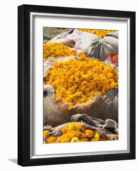 Marigolds Tied Up in Sacking Ready for Sale, Flower Market, Bari Chaupar, Jaipur, Rajasthan-Annie Owen-Framed Photographic Print