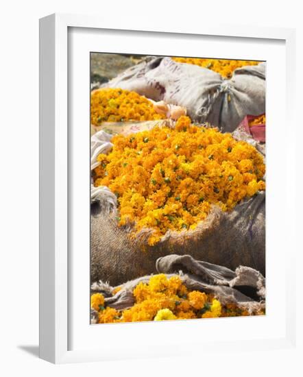 Marigolds Tied Up in Sacking Ready for Sale, Flower Market, Bari Chaupar, Jaipur, Rajasthan-Annie Owen-Framed Photographic Print