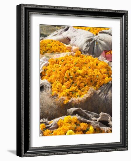 Marigolds Tied Up in Sacking Ready for Sale, Flower Market, Bari Chaupar, Jaipur, Rajasthan-Annie Owen-Framed Photographic Print