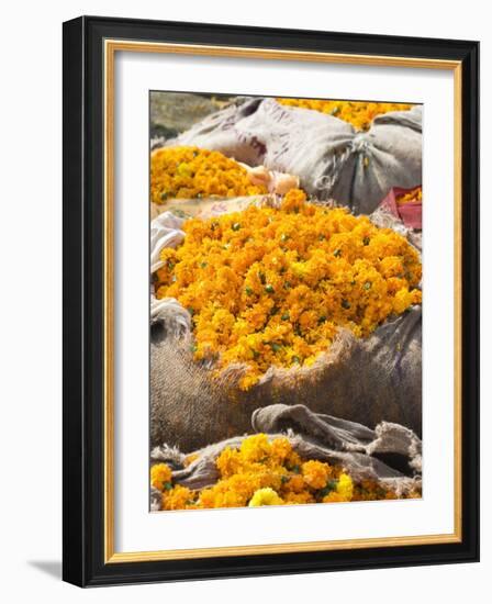 Marigolds Tied Up in Sacking Ready for Sale, Flower Market, Bari Chaupar, Jaipur, Rajasthan-Annie Owen-Framed Photographic Print