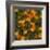 Marigolds-Moser Koloman-Framed Art Print