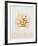 Marigolds-Mary Faulconer-Framed Limited Edition