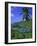 Marigot Bay, St. Lucia, Windward Islands, Caribbean, West Indies, Central America-John Miller-Framed Photographic Print