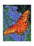 Monarch-Marilyn Barkhouse-Art Print