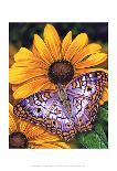 Yellow Swallowtail-Marilyn Barkhouse-Art Print