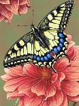 Yellow Swallowtail-Marilyn Barkhouse-Art Print