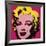 Marilyn, c.1967 (Hot Pink)-Andy Warhol-Framed Giclee Print