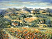 Tuscan Road With Poppies-Marilyn Dunlap-Art Print