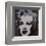 Marilyn Monroe, 1967 (black)-Andy Warhol-Framed Art Print