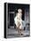 Marilyn Monroe in 'The Seven Year Itch', 1955-null-Framed Stretched Canvas