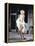 Marilyn Monroe in 'The Seven Year Itch', 1955-null-Framed Stretched Canvas