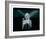 Marilyn Monroe VIII-British Pathe-Framed Art Print