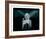 Marilyn Monroe VIII-British Pathe-Framed Art Print