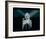 Marilyn Monroe VIII-British Pathe-Framed Art Print