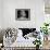 Marilyn Monroe-Eve Arnold-Framed Art Print displayed on a wall