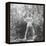 Marilyn Monroe-Ed Clark-Framed Premier Image Canvas