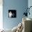 Marilyn Monroe-null-Mounted Photographic Print displayed on a wall