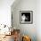 Marilyn Monroe-null-Framed Photographic Print displayed on a wall