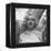 Marilyn Monroe-Ed Clark-Framed Premier Image Canvas