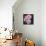 Marilyn Monroe-Dean Russo-Mounted Giclee Print displayed on a wall