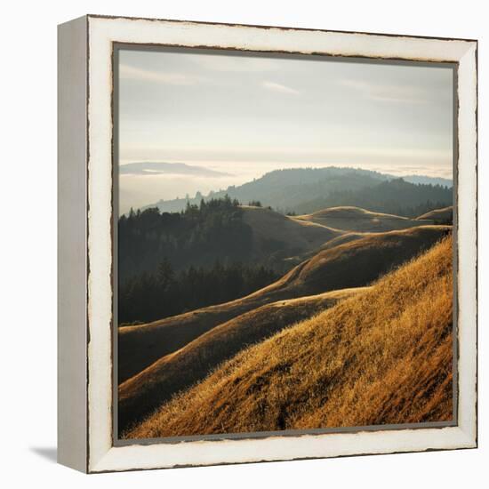 Marin Hills-Lance Kuehne-Framed Stretched Canvas