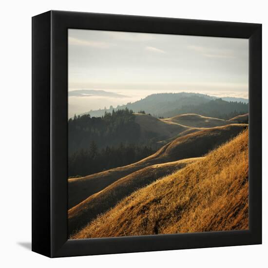 Marin Hills-Lance Kuehne-Framed Stretched Canvas