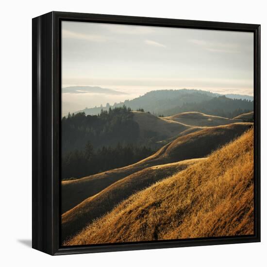 Marin Hills-Lance Kuehne-Framed Stretched Canvas