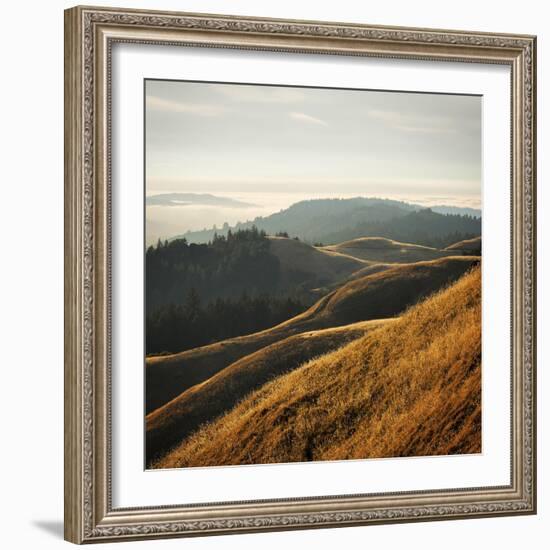 Marin Hills-Lance Kuehne-Framed Photographic Print