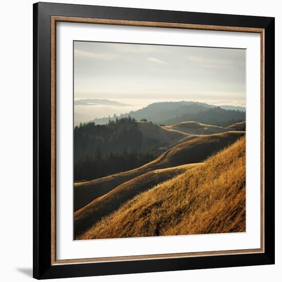 Marin Hills-Lance Kuehne-Framed Photographic Print