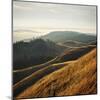 Marin Hills-Lance Kuehne-Mounted Photographic Print