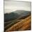 Marin Hills-Lance Kuehne-Mounted Photographic Print