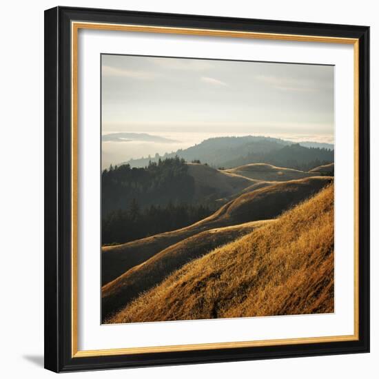 Marin Hills-Lance Kuehne-Framed Photographic Print