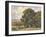 Marin Oaks-Percy Gray-Framed Art Print