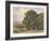 Marin Oaks-Percy Gray-Framed Art Print